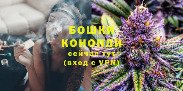 гидра Волосово